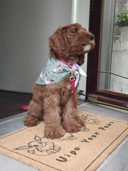 Wipe Your Paws Door Mat