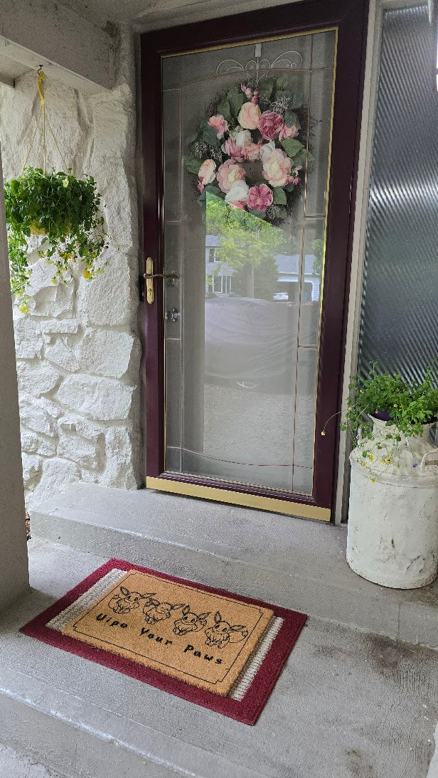 Wipe Your Paws Door Mat
