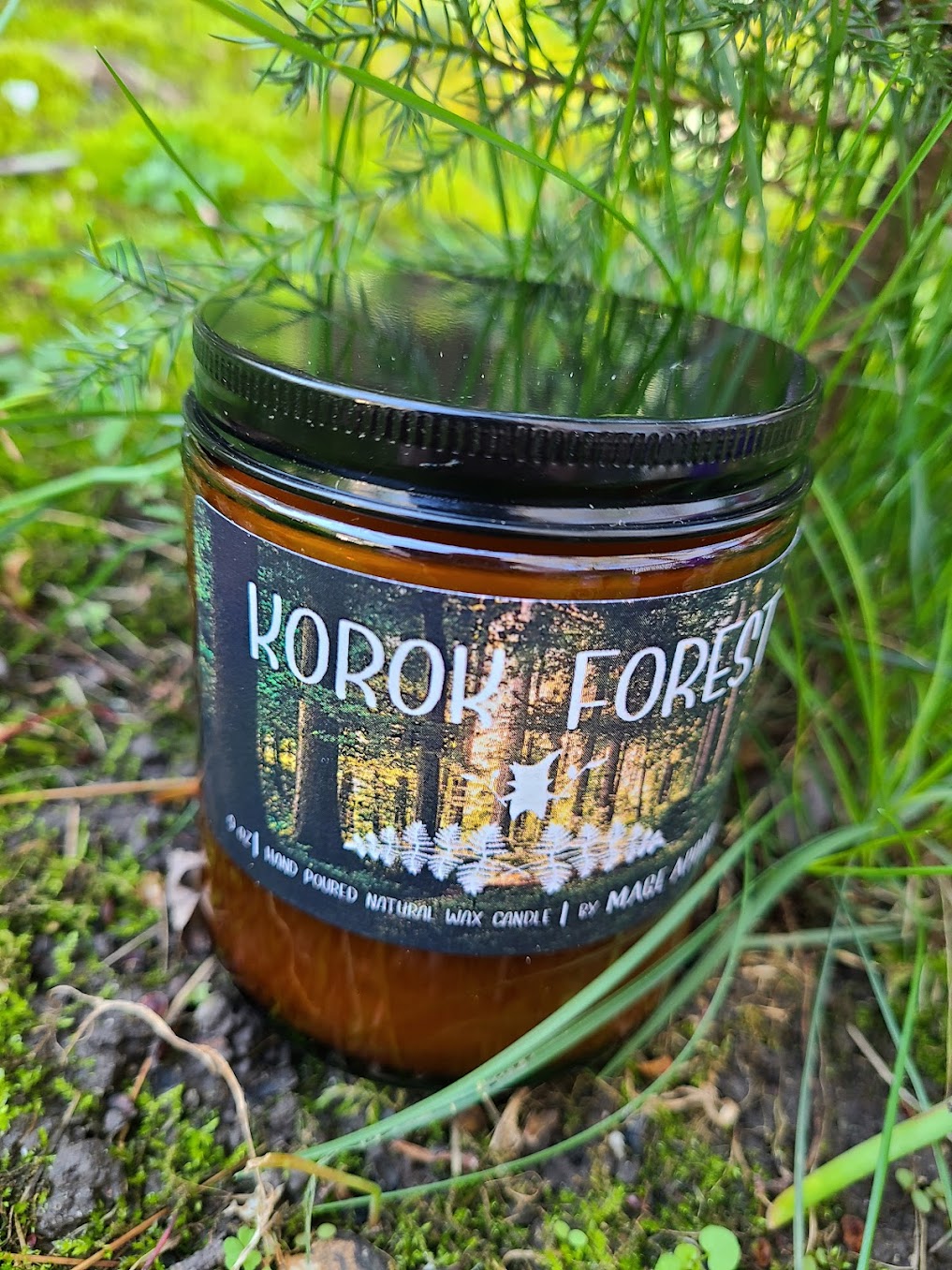 Forest-9oz CANDLE, COCONUT SOY