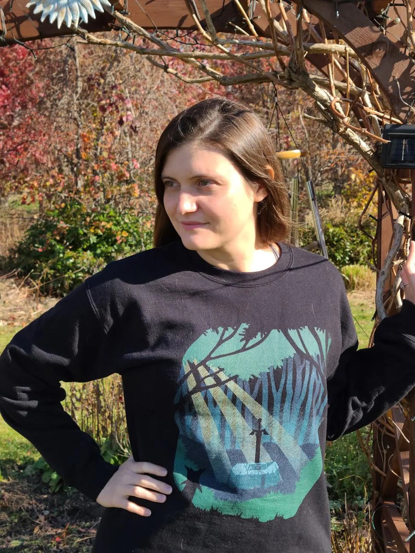 Sword in the Forest Sweatshirt