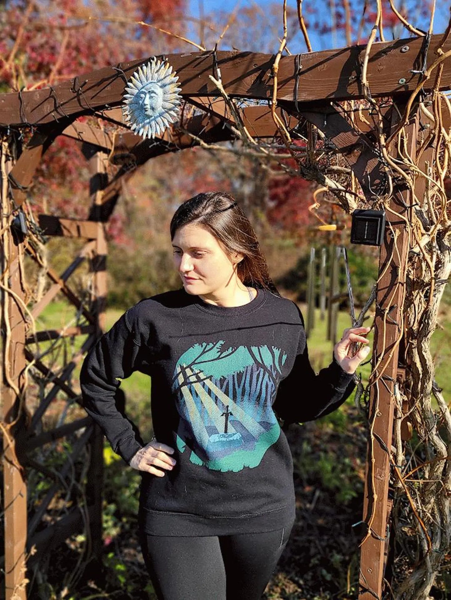Sword in the Forest Sweatshirt